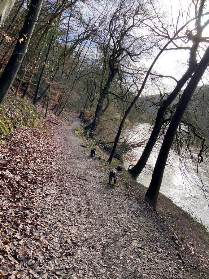 Stunning Symonds Yat Holiday Cottage 외부 사진